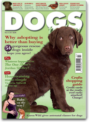 Dogs Today Magazine